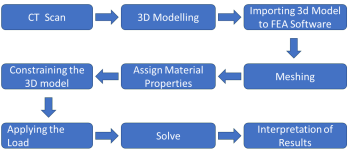 bio-mechanical
